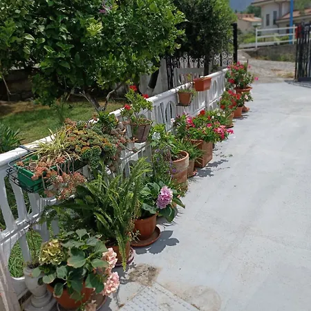 別荘 Casetta Esmeralda プラーイア・ア・マーレ