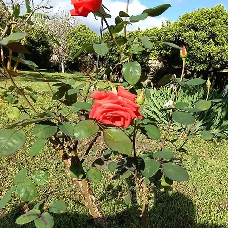 Casetta Esmeralda Сasa de vacaciones *