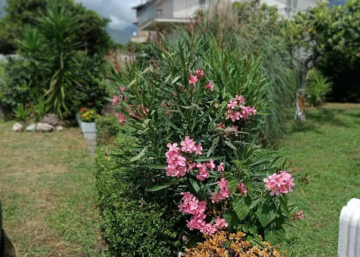 Casetta Esmeralda Nyaraló