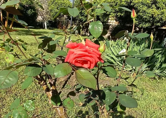 Casetta Esmeralda Nyaraló *